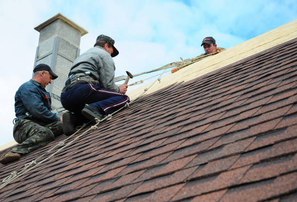 Roof Waterproofing Services in Primera, TX